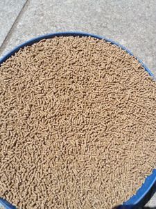 鱼塘喂养高效攻略 淡水鱼饲料的种类、成分与使用方法